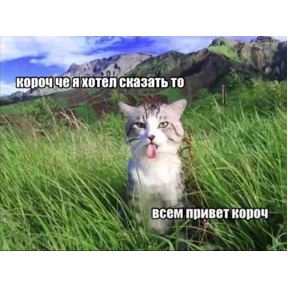 Стикеры — стикер для MAX