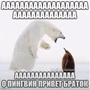 Стикеры — стикер для MAX