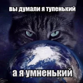 Стикеры — стикер для MAX