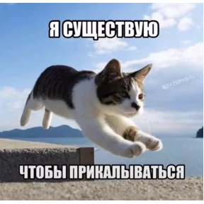 Стикеры — стикер для MAX