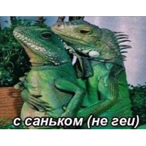 Ажвжвж — стикер для MAX