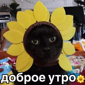 Люлик 2 — стикер для MAX
