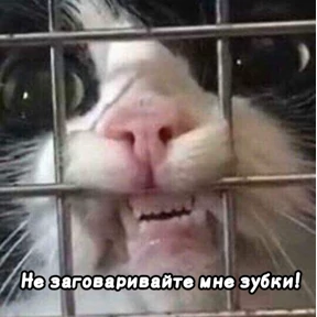 Люлик 2 — стикер для MAX