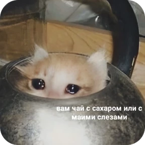 Ну, Привет — стикер для MAX