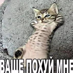 Негатив — стикер для MAX