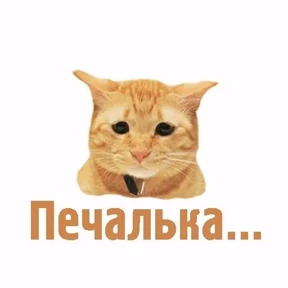 Негатив — стикер для MAX