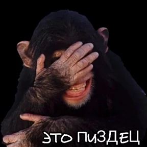 Негатив — стикер для MAX