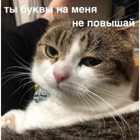 Негатив — стикер для MAX