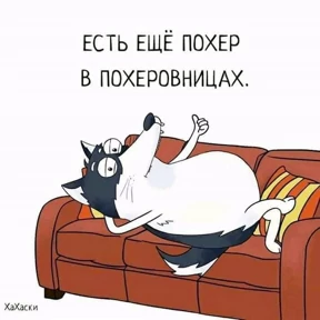 Ненатив — стикер для MAX
