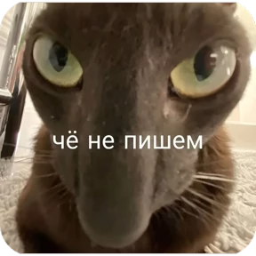 Ну, Привет — стикер для MAX