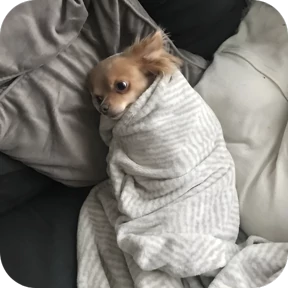 Ну, Привет — стикер для MAX