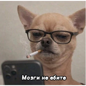 Люлик 2 — стикер для MAX