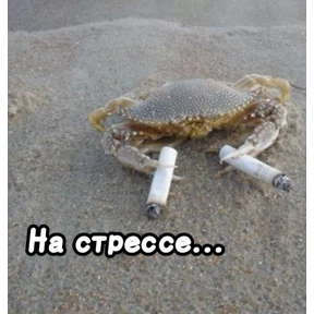 Люлик 2 — стикер для MAX