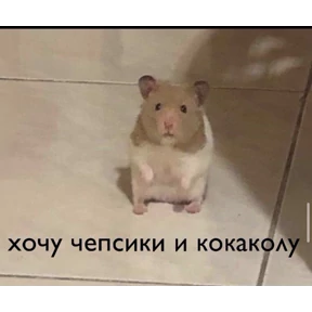 Xox — стикер для MAX