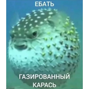 Коля Tapbox.ru — стикер для MAX