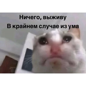 work.. — стикер для MAX