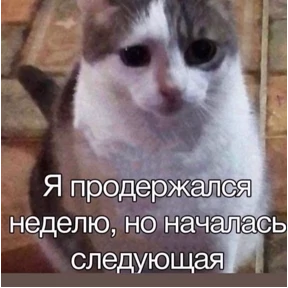 work.. — стикер для MAX