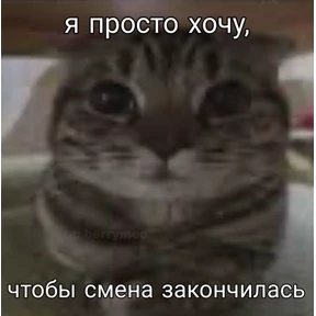 work.. — стикер для MAX