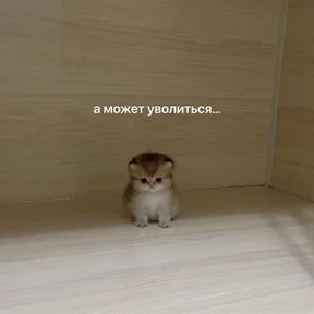 work.. — стикер для MAX