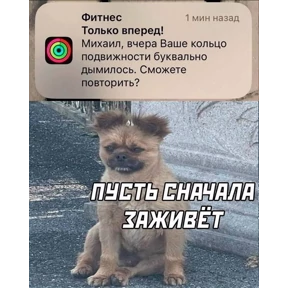 work.. — стикер для MAX