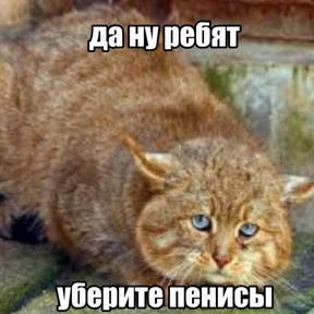 Mega ultra — стикер для MAX