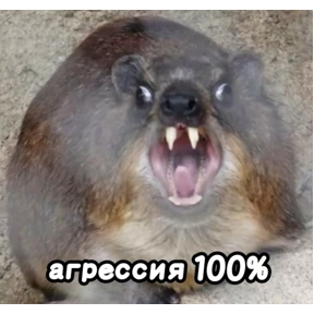 Люлик 2 — стикер для MAX