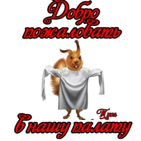 Туся Кальянов — стикер для MAX