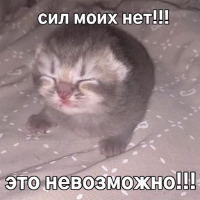 Люлик 2 — стикер для MAX