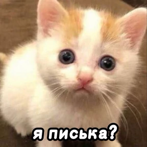 Люлик 2 — стикер для MAX