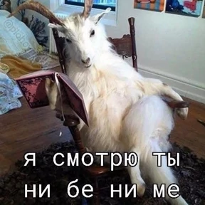 Люлик 2 — стикер для MAX