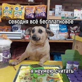 Люлик 2 — стикер для MAX