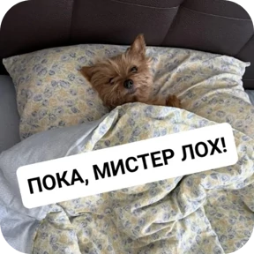 Крысиные — стикер для MAX