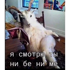 Для важных переговоров — стикер для MAX