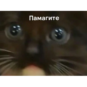 Для важных переговоров — стикер для MAX