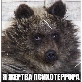 Для важных переговоров — стикер для MAX