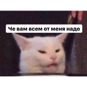 Для важных переговоров — стикер для MAX