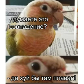 Для важных переговоров — стикер для MAX