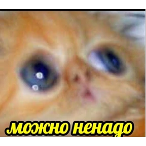 Для важных переговоров — стикер для MAX