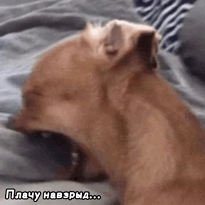 Люлик 2 — стикер для MAX