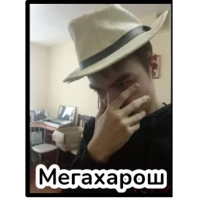 Реинкарнация — стикер для MAX