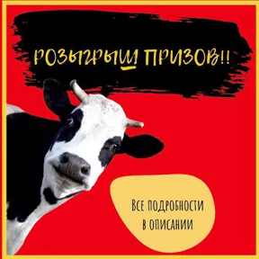 Мясной Елена — стикер для MAX