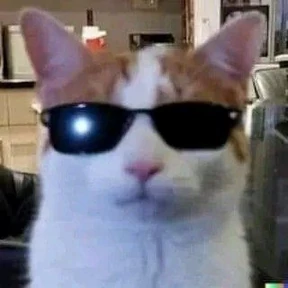 Котики — стикер для MAX
