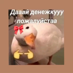 Лулу — стикер для MAX