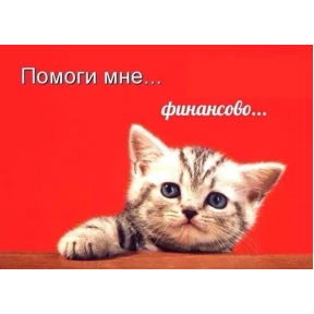 Лулу — стикер для MAX