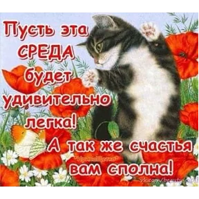Пожелания хорошего дня — стикер для MAX