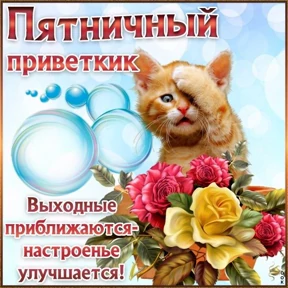 Пожелания хорошего дня — стикер для MAX