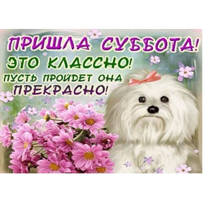 Пожелания хорошего дня — стикер для MAX