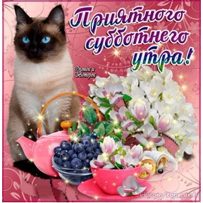 Пожелания хорошего дня — стикер для MAX