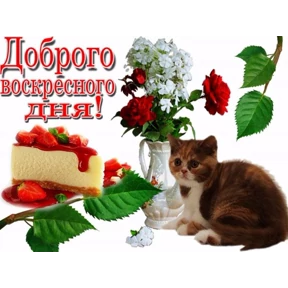Пожелания хорошего дня — стикер для MAX