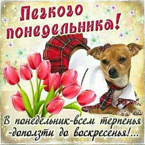 Пожелания хорошего дня — стикер для MAX